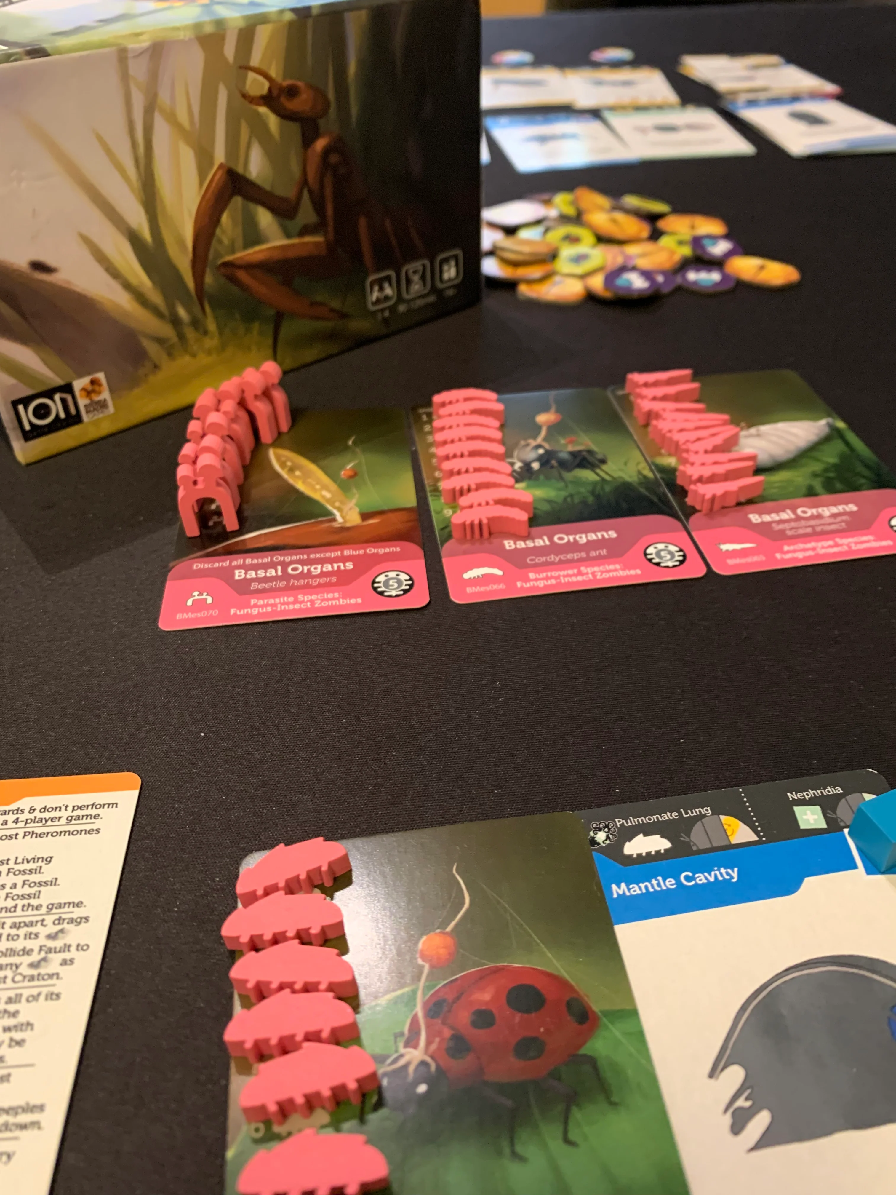 Bios Mesofauna Board Game - Image 10