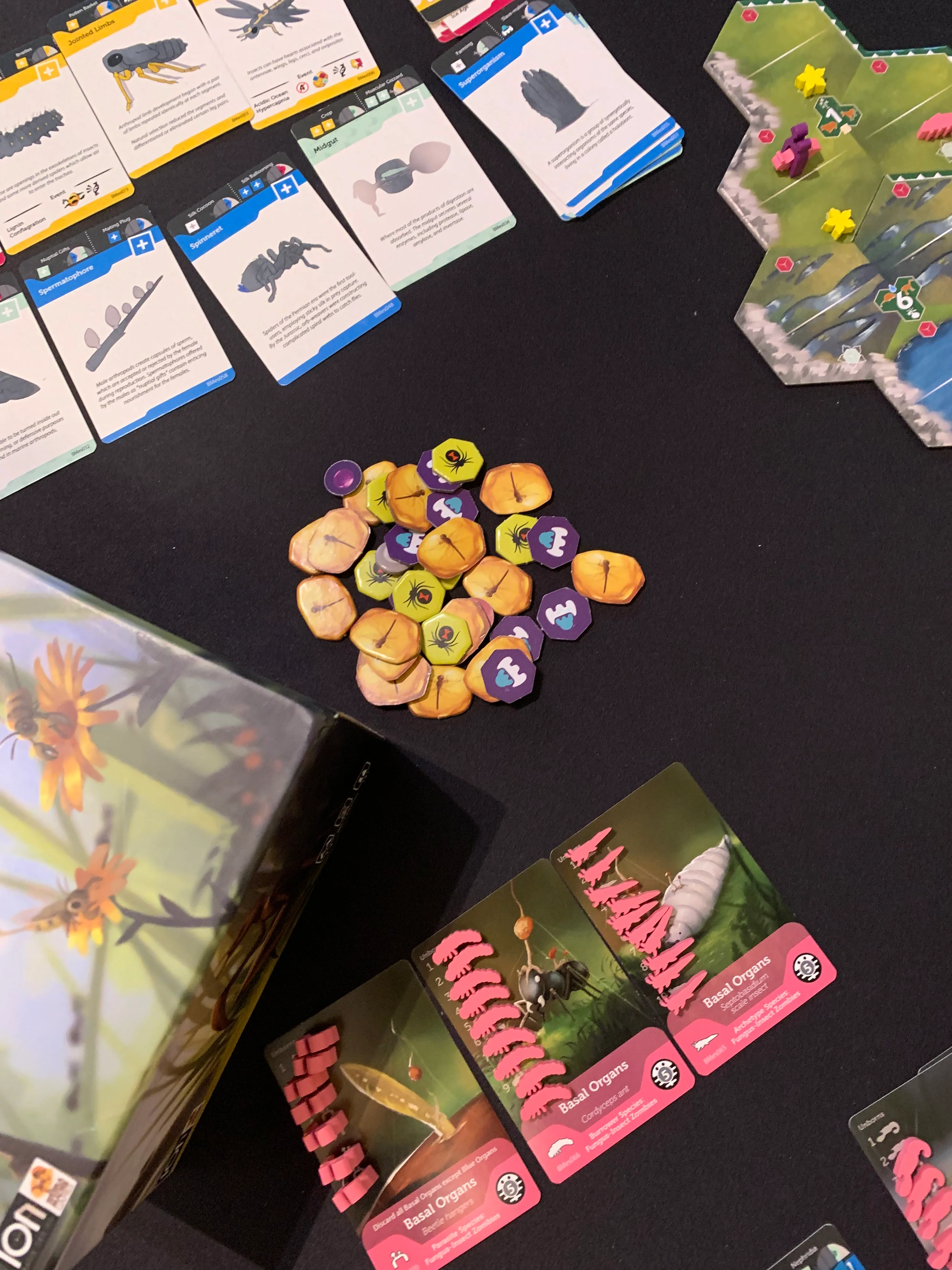 Bios Mesofauna Board Game - Image 11
