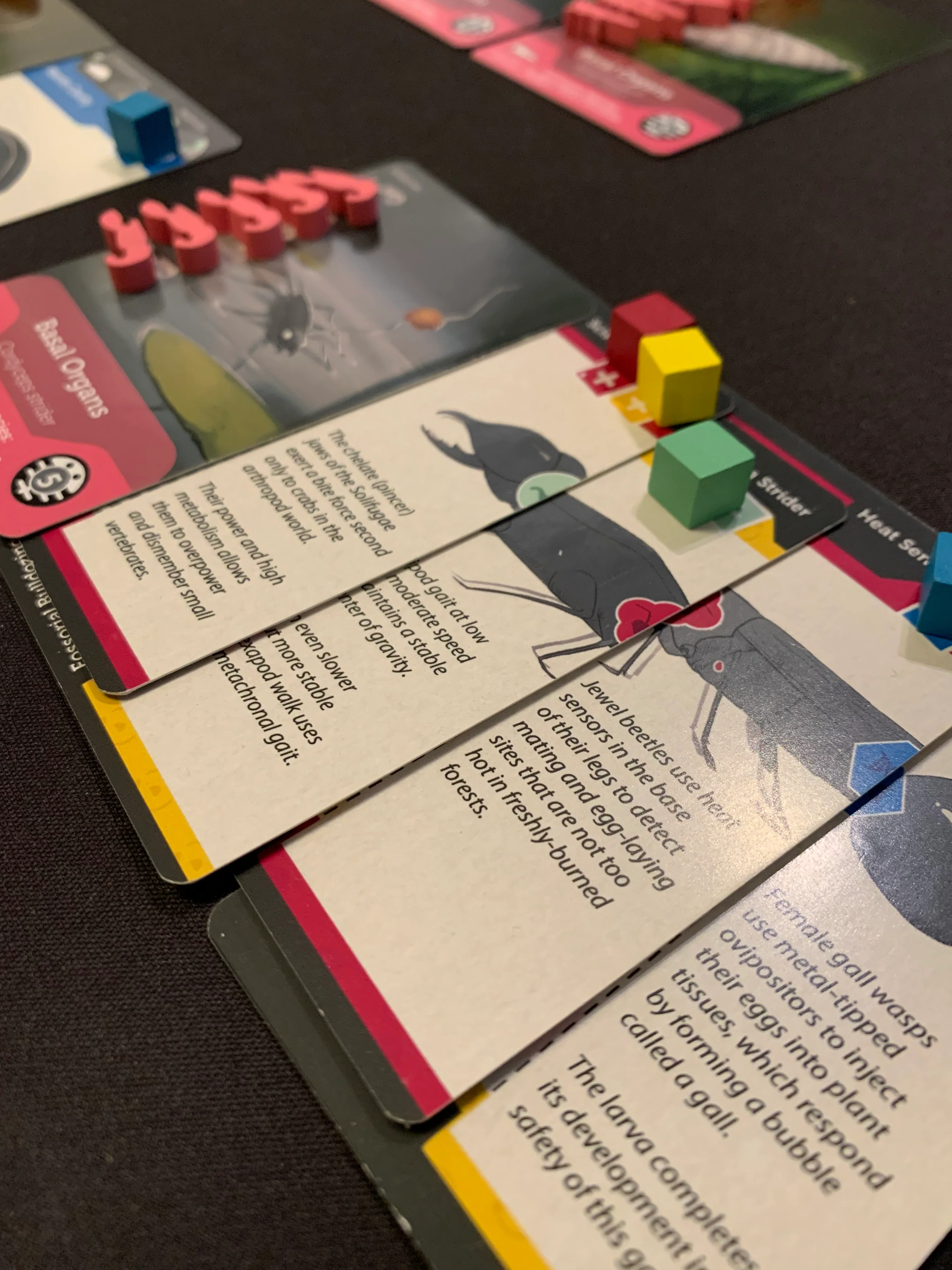 Bios Mesofauna Board Game - Image 12