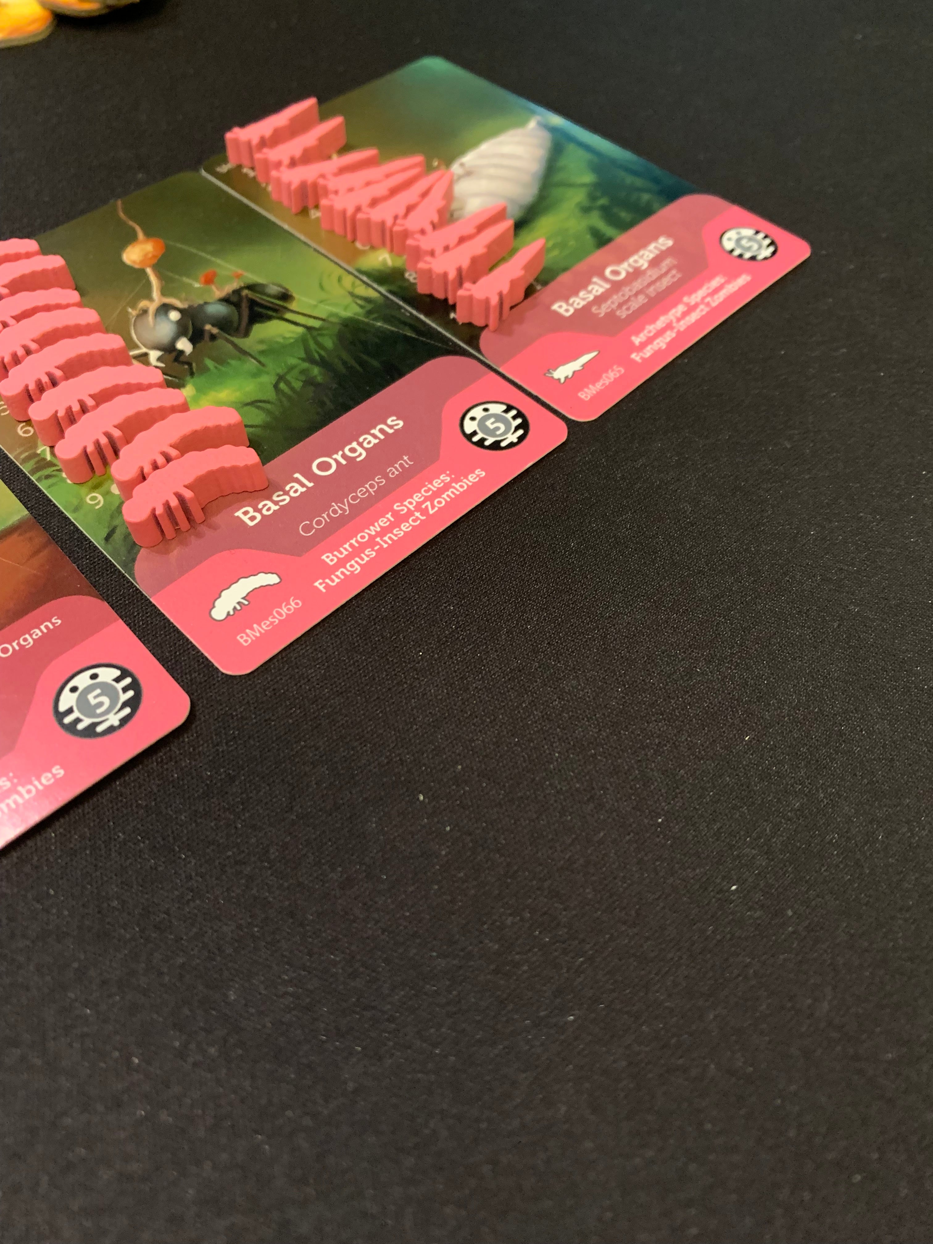 Bios Mesofauna Board Game - Image 13