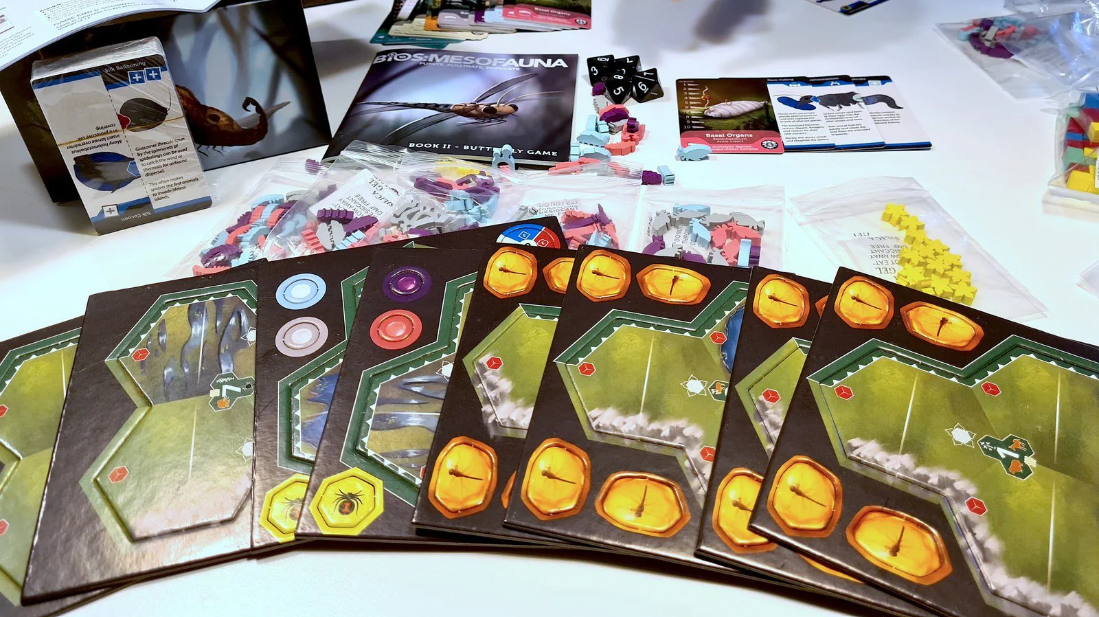 Bios Mesofauna Board Game - Image 4