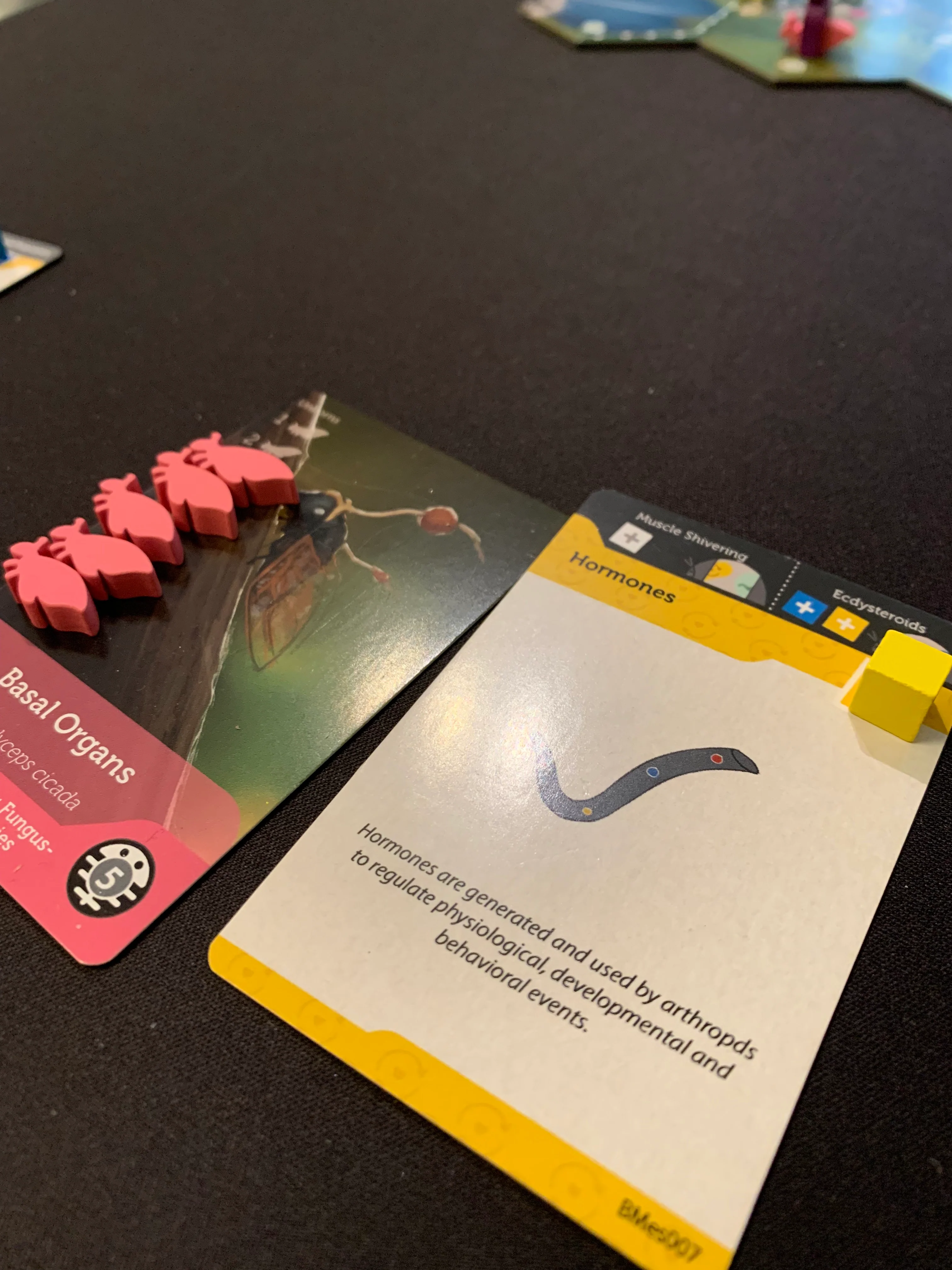 Bios Mesofauna Board Game - Image 6