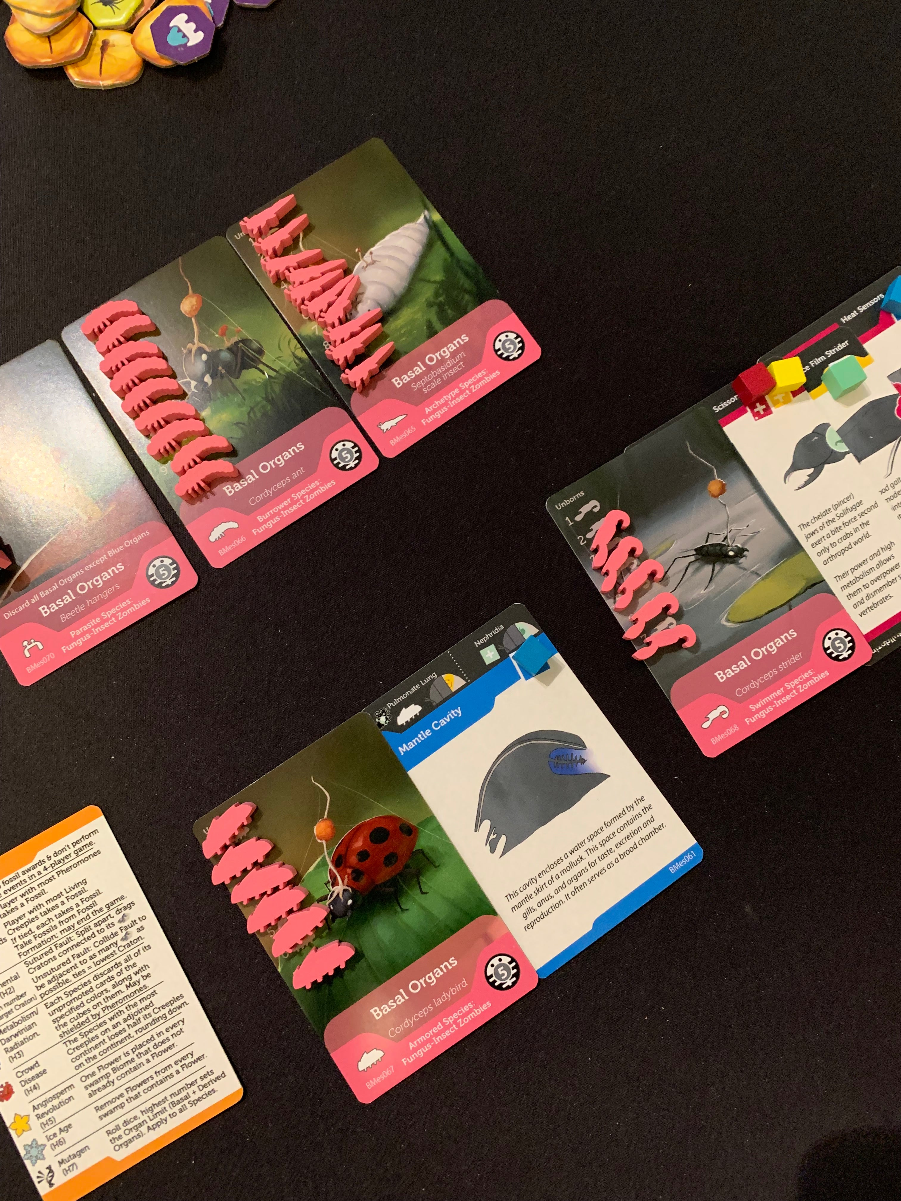 Bios Mesofauna Board Game - Image 7