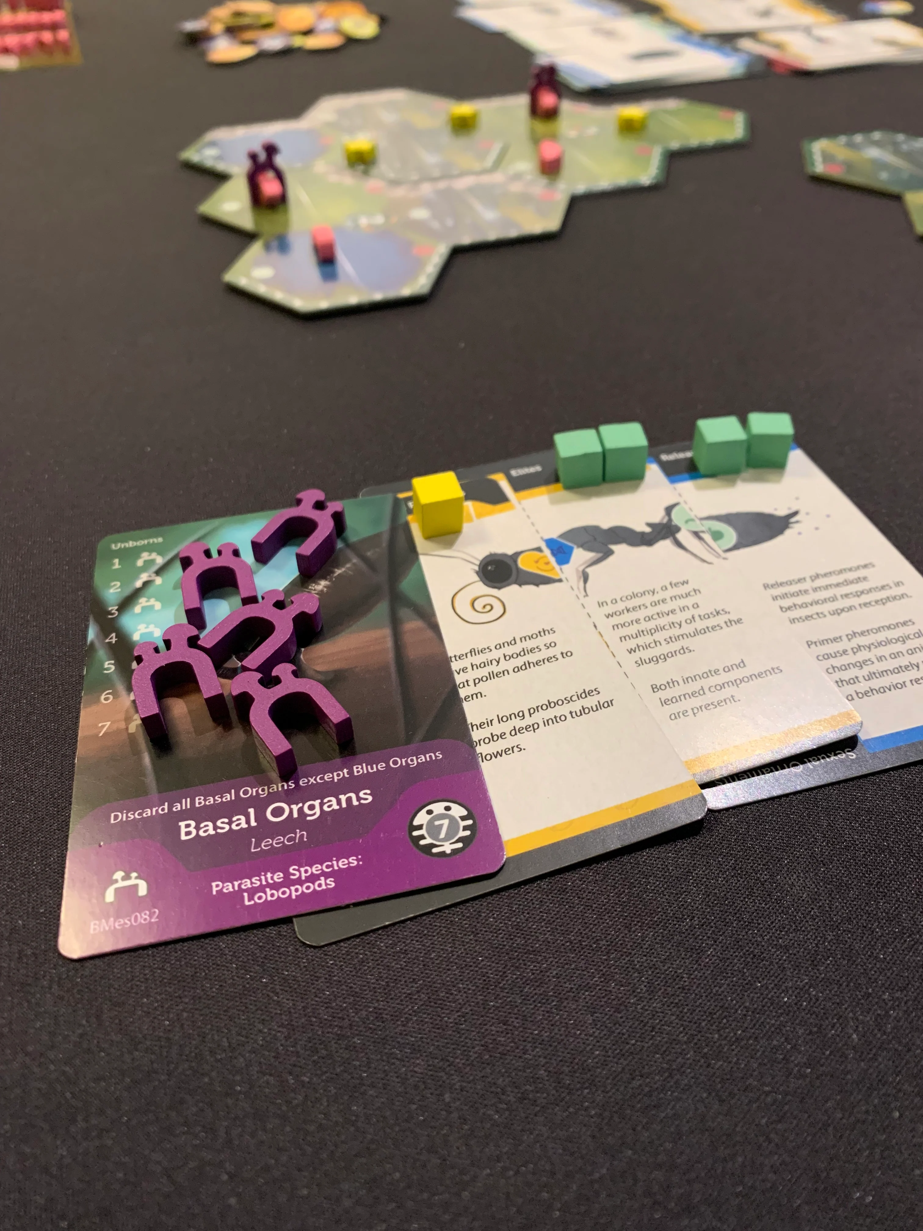 Bios Mesofauna Board Game - Image 8
