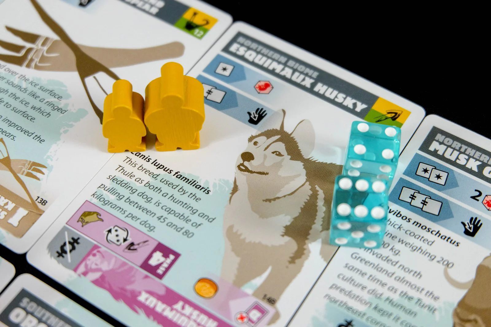 Greenland 3rd edition Board Game (RETAIL) - Image 6