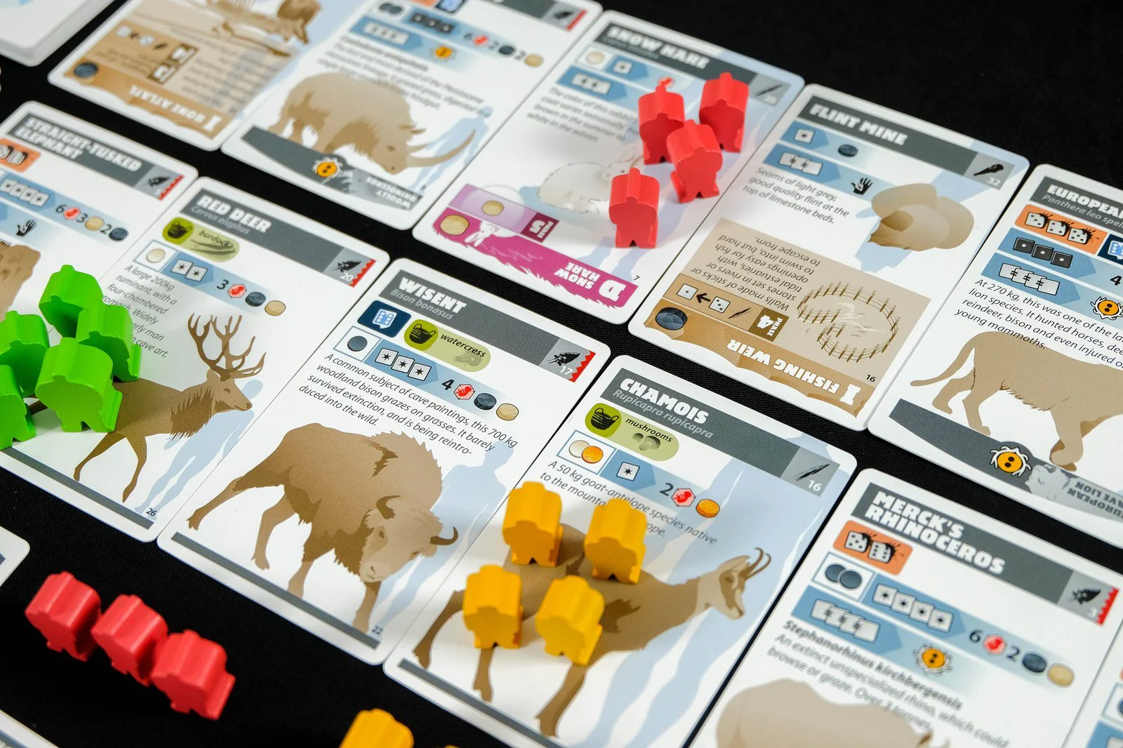 Neanderthal Board Game [2nd edition] - Image 3